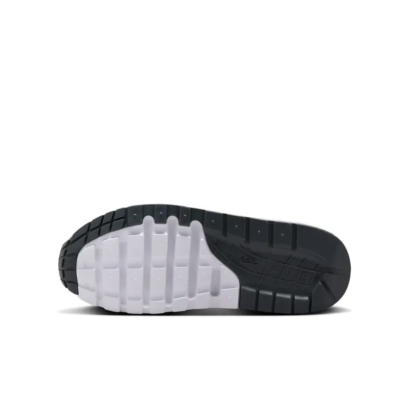 Nike Air Max 1 Summit White Wolf Grey White Dark Smoke Grey (DZ3307-115)