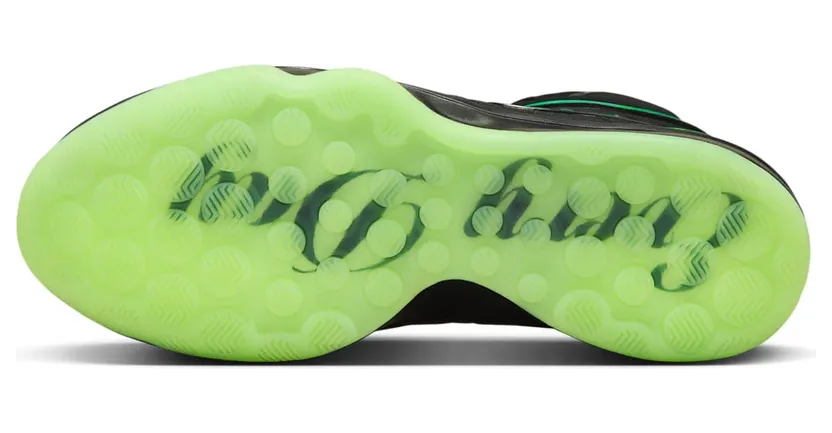 nike-zoom FZ7309-900