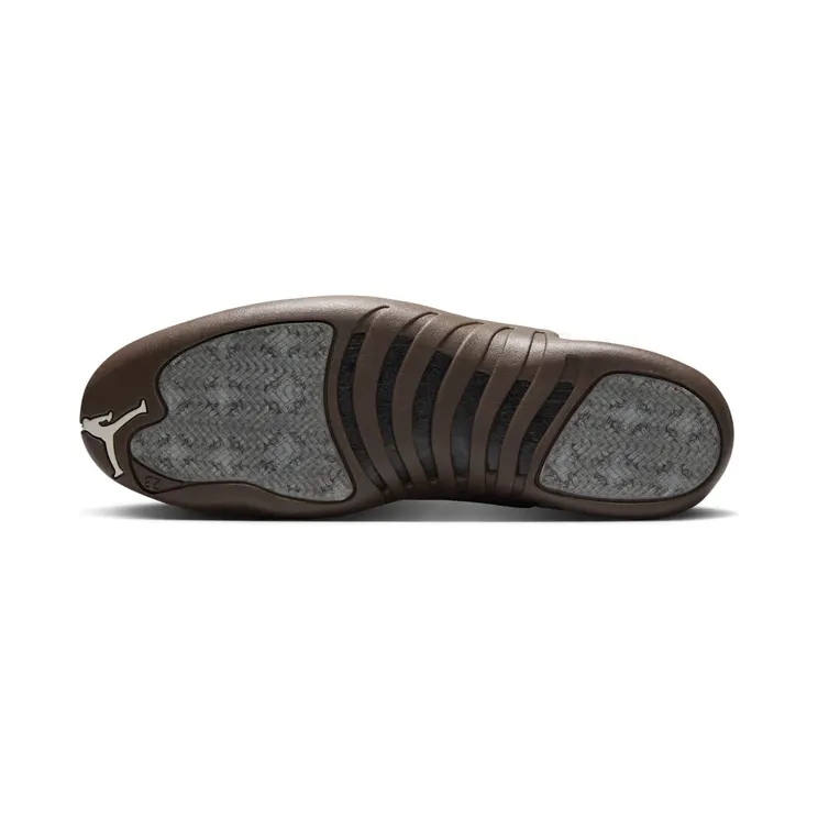 air-jordan-12 FZ5026-100