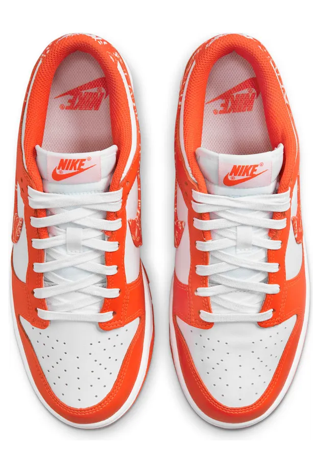 nike-dunk DH4401-103