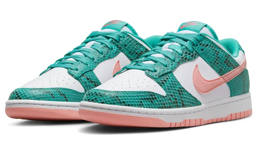 nike-dunk DR8577-300