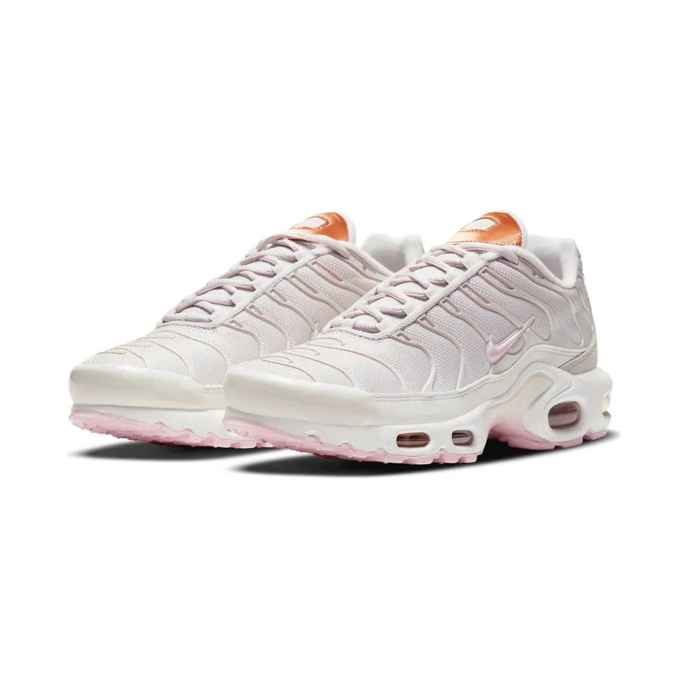 Nike Air Max Plus Grey (DD6612-001)