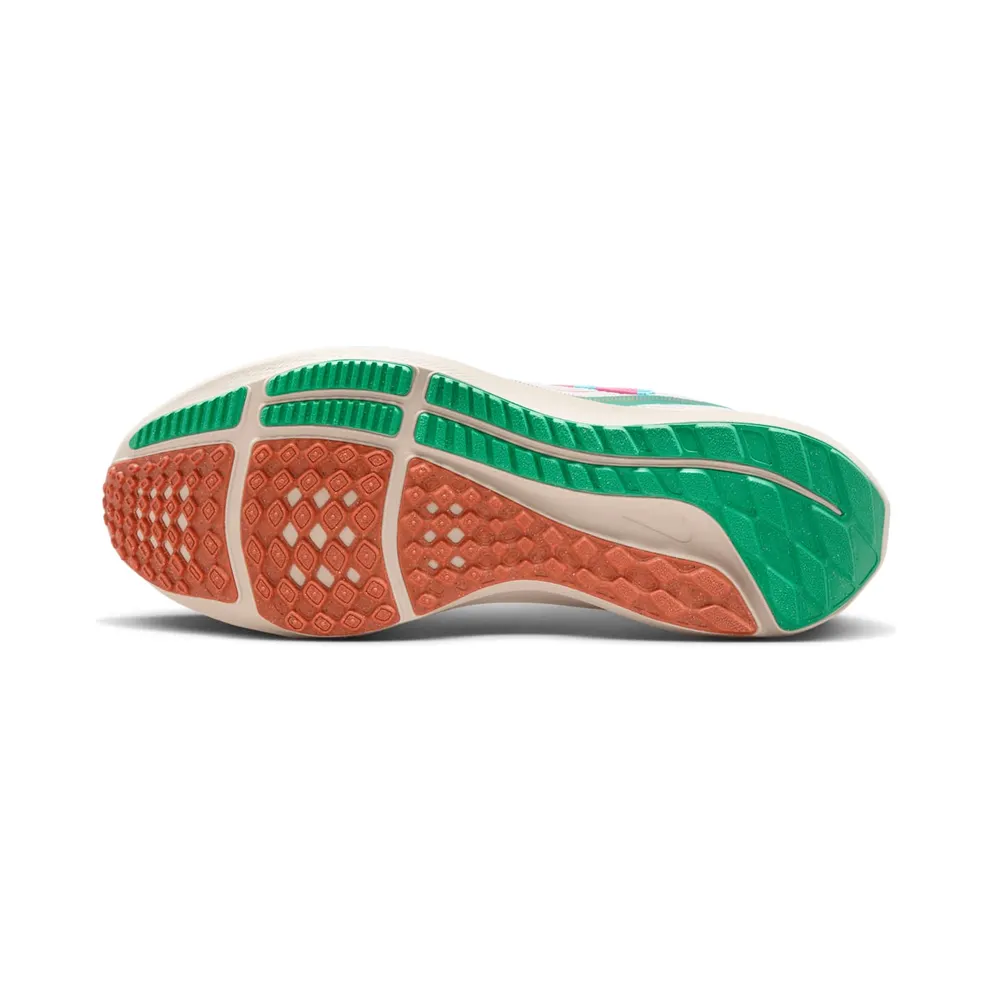 Nike Air Zoom Pegasus 40 Familia (FN0599-100)