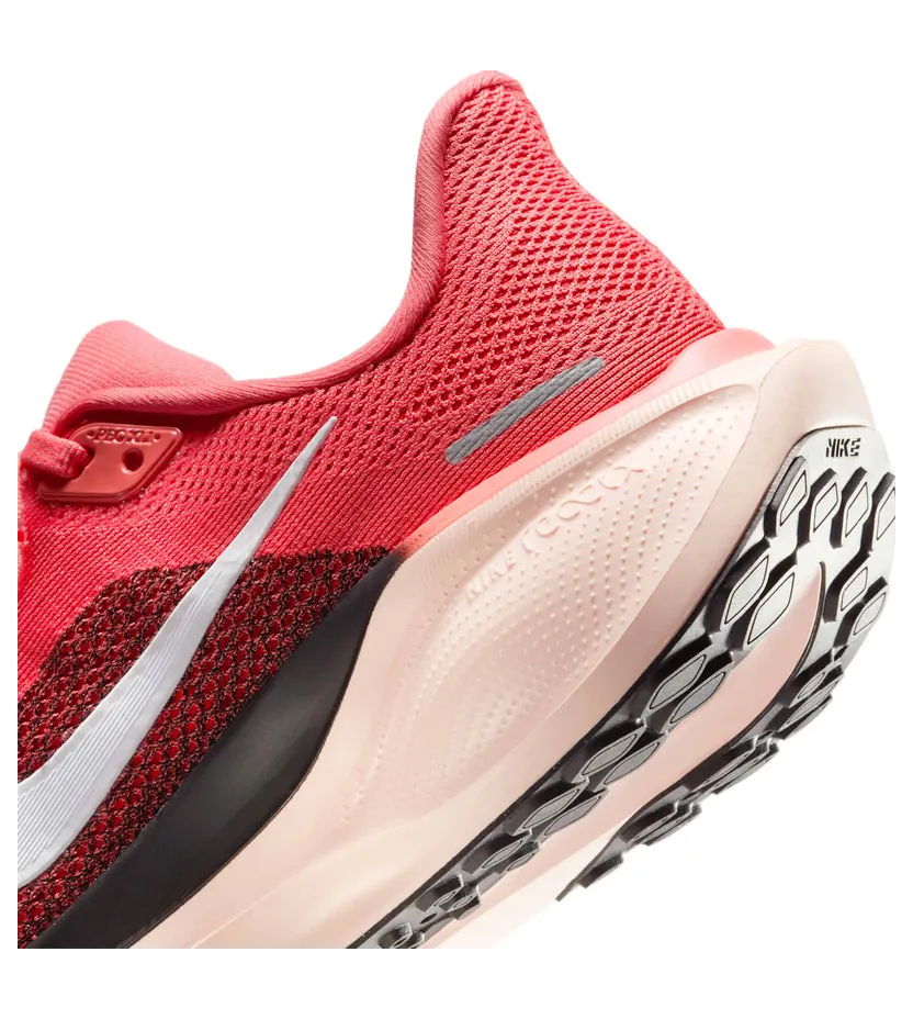 nike-air-pegasus FD2723-801