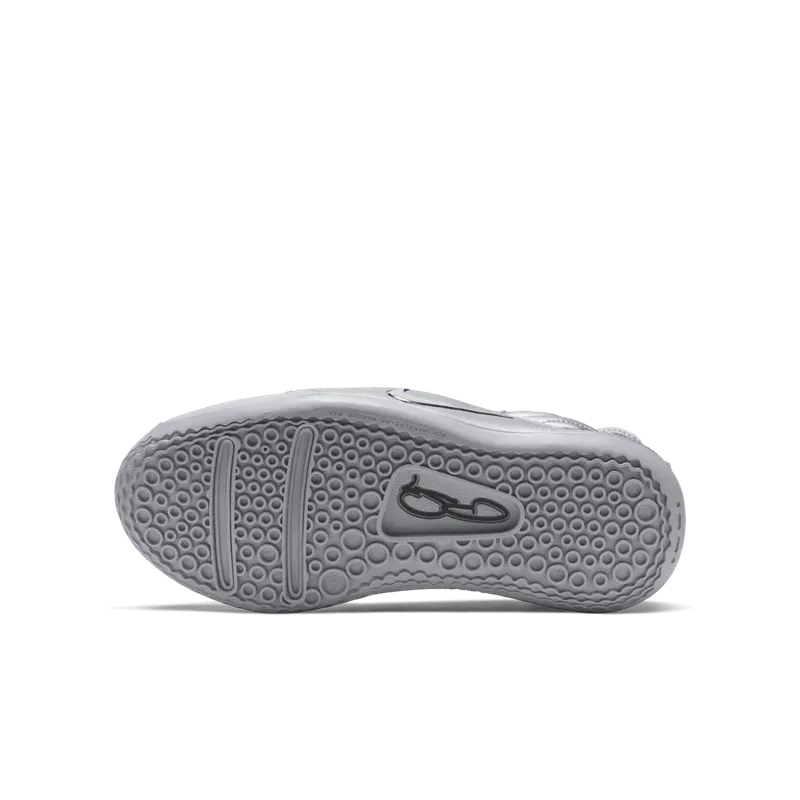 Nike PG 3 NASA 50th (GS) Reflect Silver/Reflect Silver (CI8973-001)