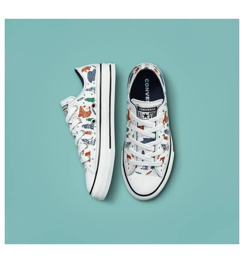 converse-chuck-taylor-all-star 672440C