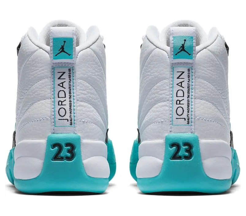 air-jordan-12 510815-100