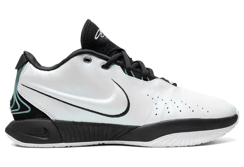nike-lebron HF5841-100
