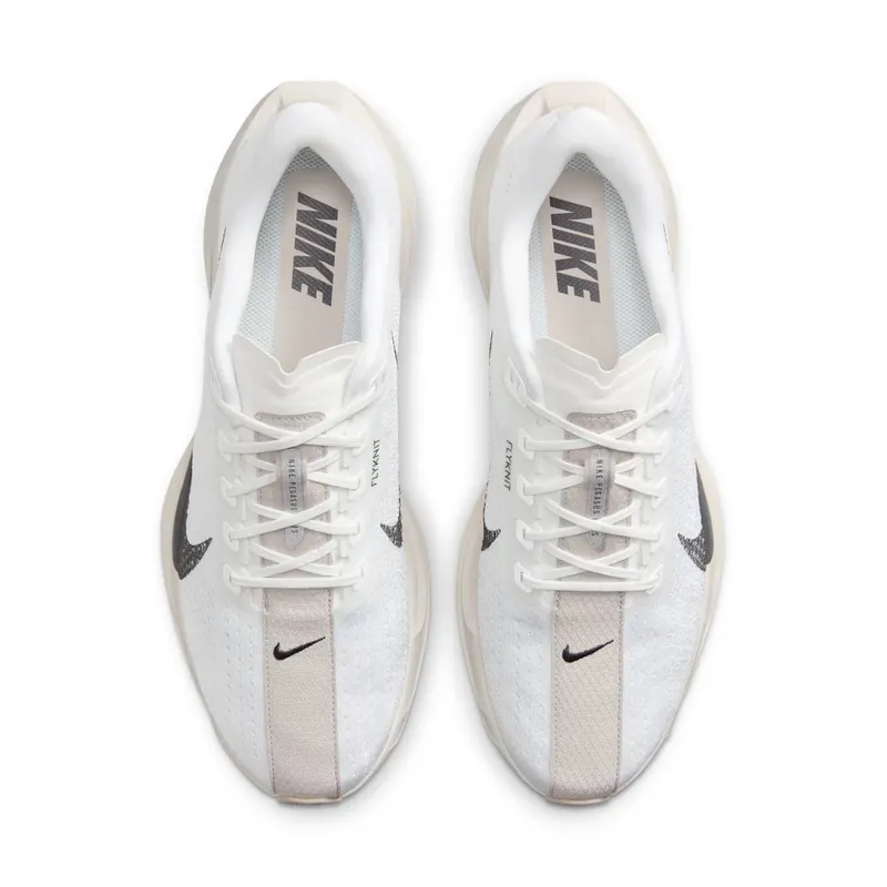 Nike Pegasus Plus Sail Orewood Anthracite (FQ7262-100)