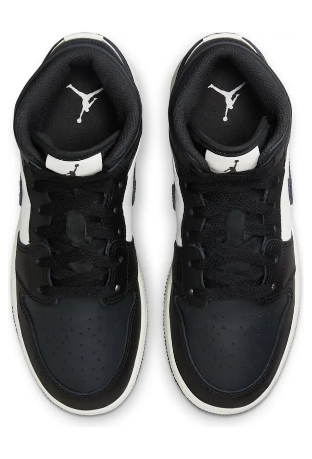 air-jordan-1 DQ8423-010