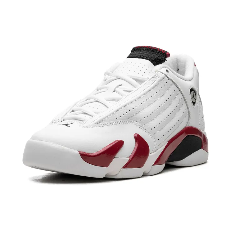 air-jordan-14 487524-101