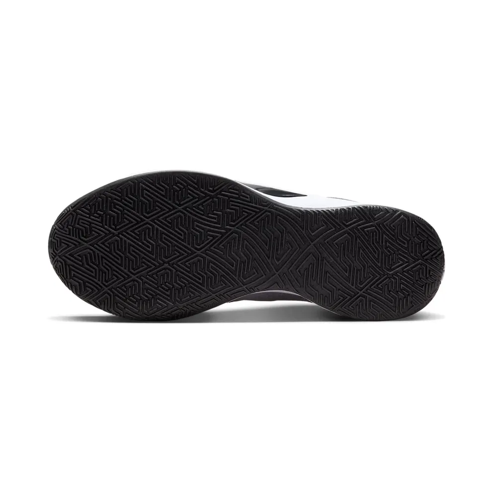 Nike Giannis Zoom Freak 6 TB Wolf Grey (FV1292-001)
