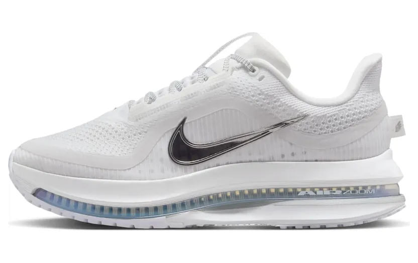 Nike Pegasus Premium “White Metallic Silver” (HQ2593-102)
