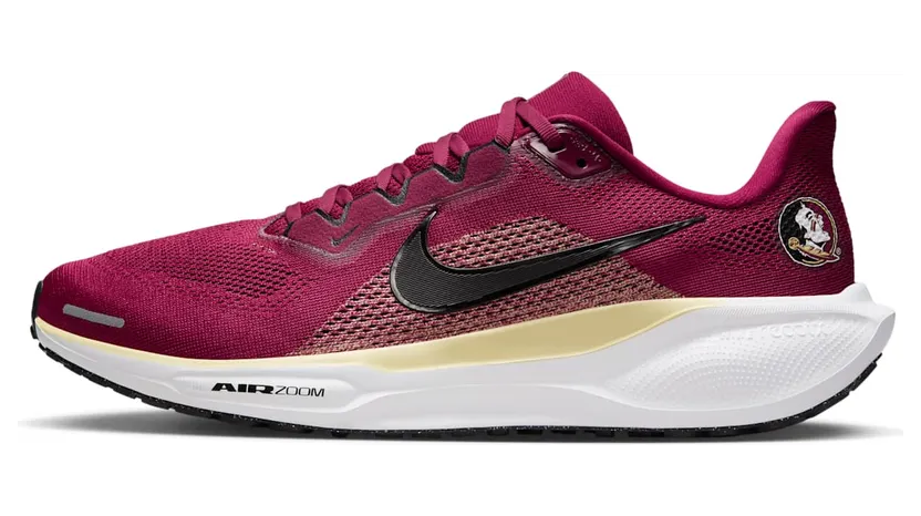 Nike Air Zoom IB3255-600