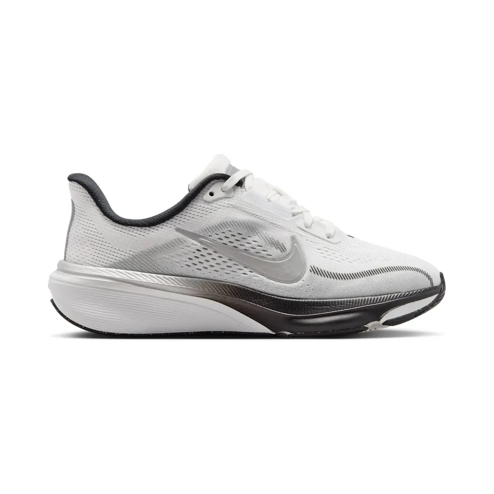 Nike Pegasus Summit White/Metallic Silver/Photon Dust/White (IR4146-100)