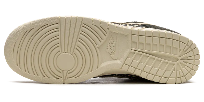 nike-dunk FN7523-300