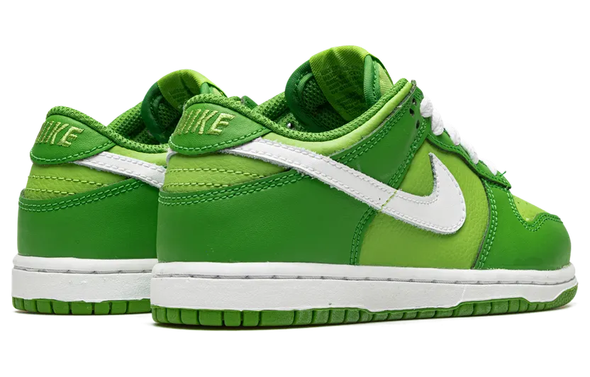 nike-dunk DH9756-301