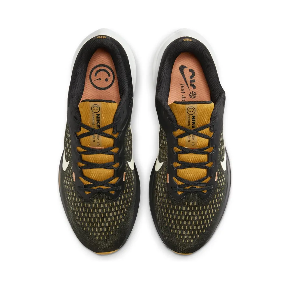 Nike Winflo 10 Black (DV4022-009)