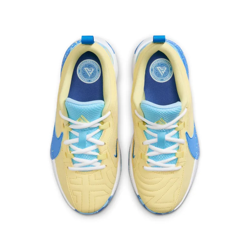 Nike Zoom Freak 5 Through My Eyes (DZ4486-400)