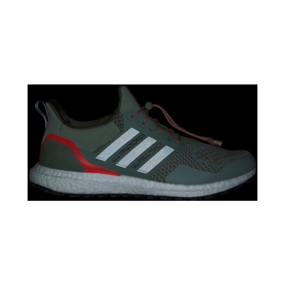 Adidas Ultraboost 1.0 Silver Green / Silver Green / Olive Strata (HR0070)