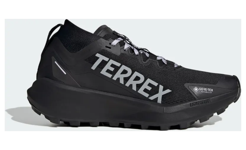 Adidas Terrex Agravic GTX Trail Running Core Black / Silver Dawn / Grey Two (IH5358)