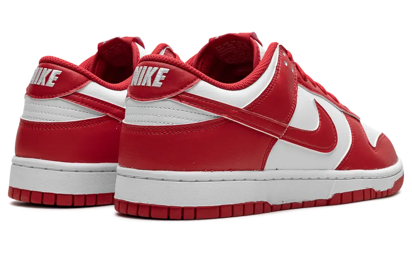 nike-dunk HF5441-104