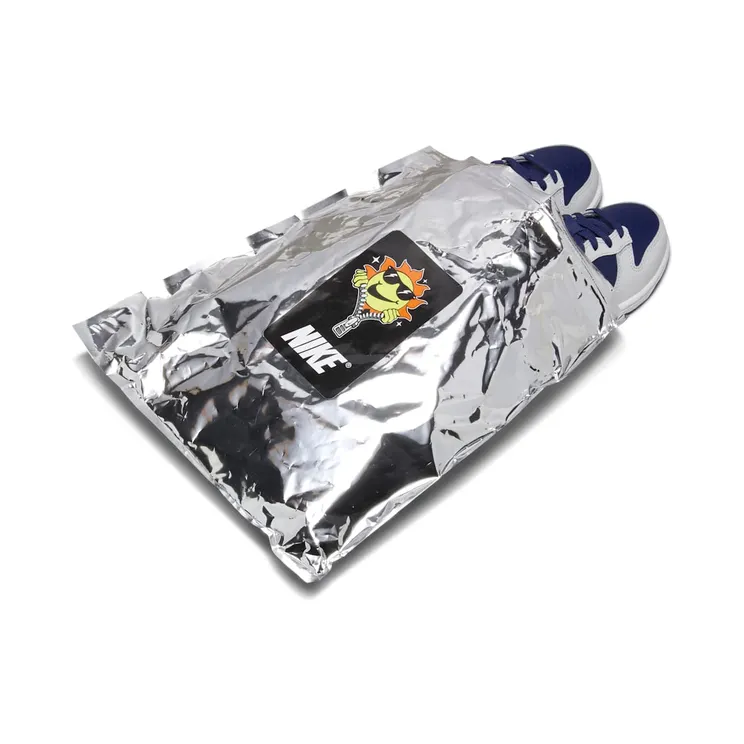 nike-dunk FN6969-025
