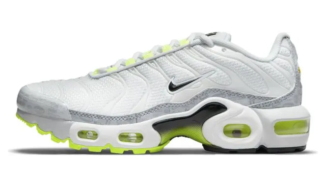 Nike Air Max Plus Grijs (CD0609-015)