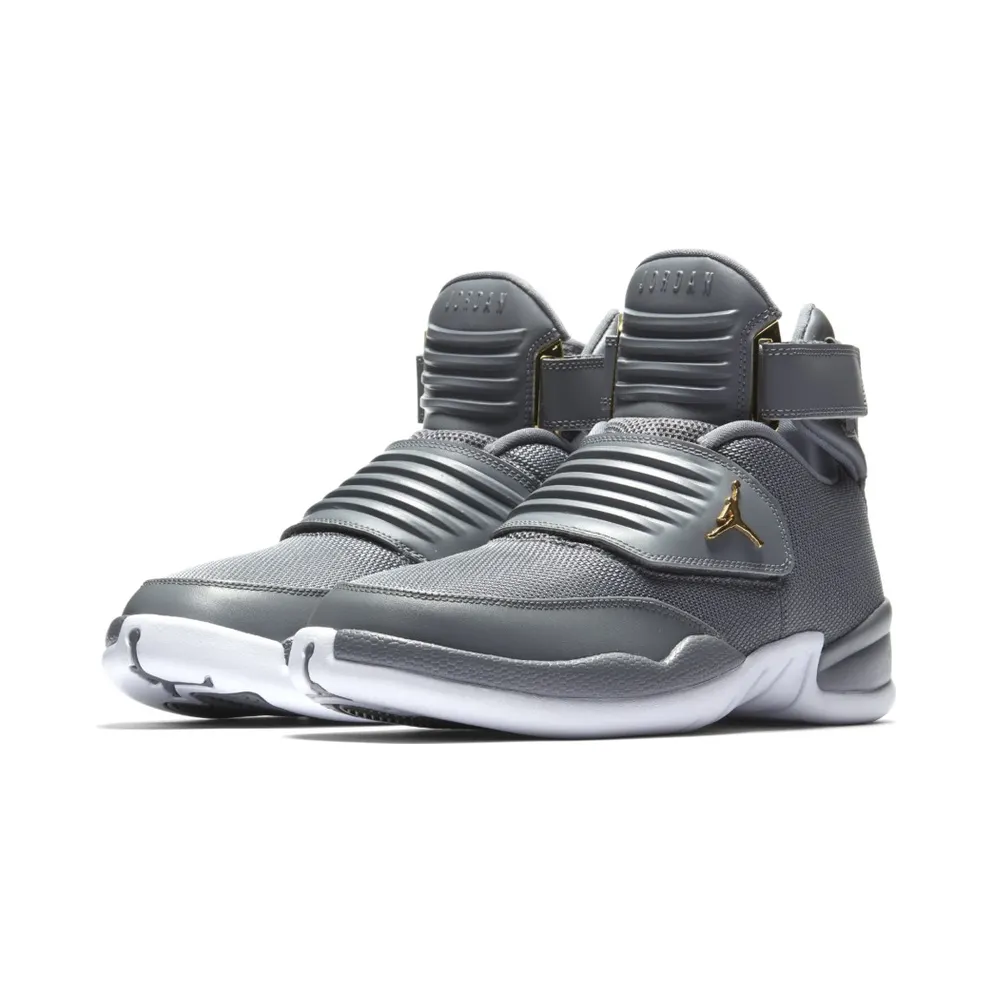 Jordan Generation 23 Cool Grey Cool Grey/Cool Grey-White-Metallic Gold (AA1294-004)