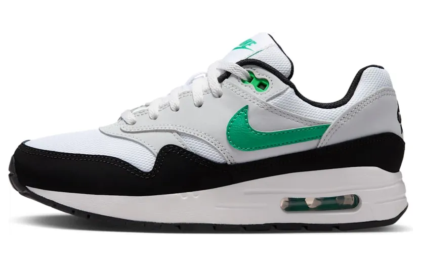 Nike Air Max 1 DZ3307-108