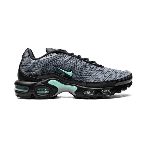 Nike Air Max Plus low-top “Grey” (FB3351)