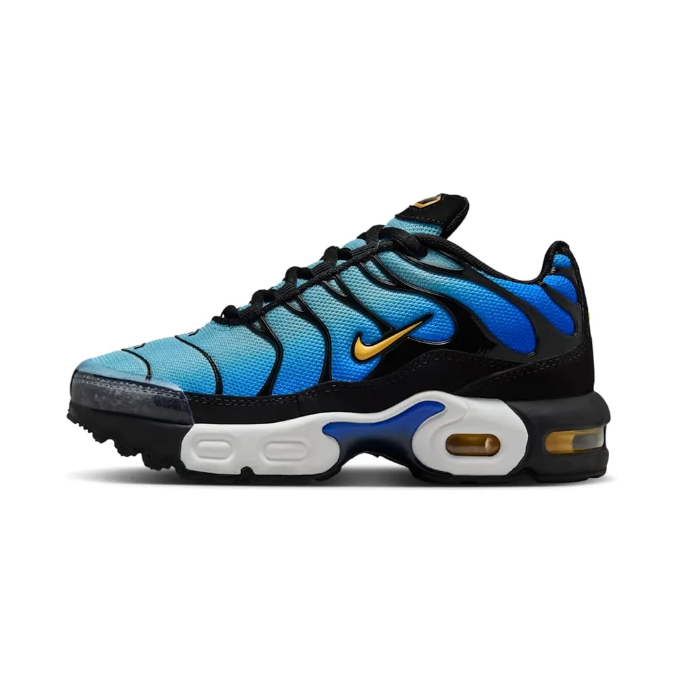 Nike Air Max Plus Hyper Blue (FZ0023-032)