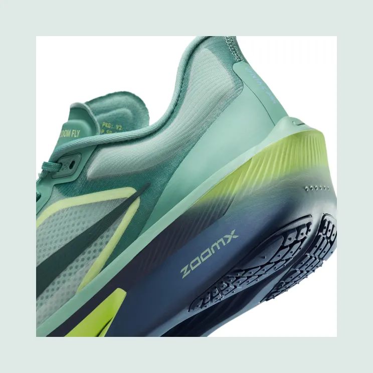 nike-zoom FN8454-003