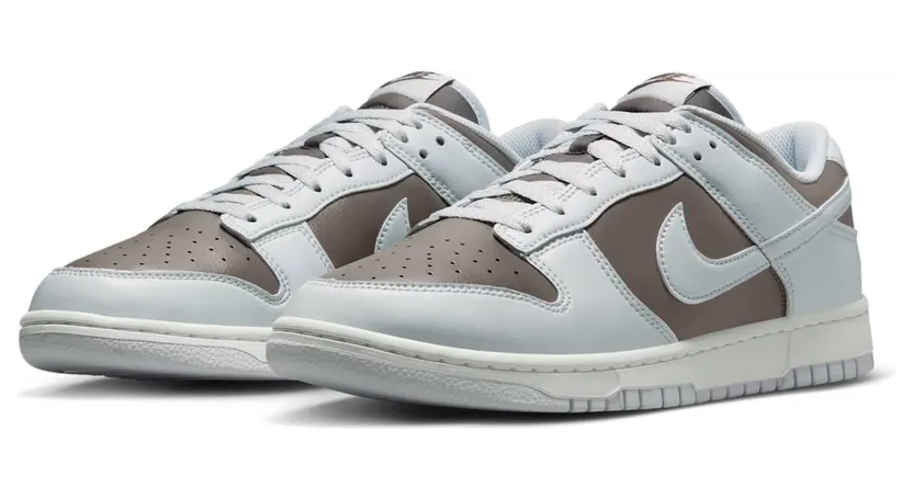nike-dunk HF5441-202