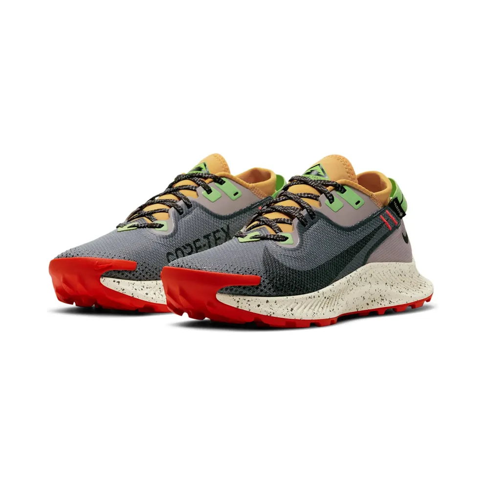 Nike Pegasus Trail 2 GORE-TEX Trail Running Black (CU2018-002)