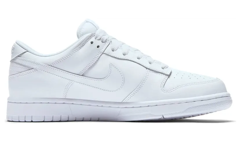 nike-dunk 904234-100