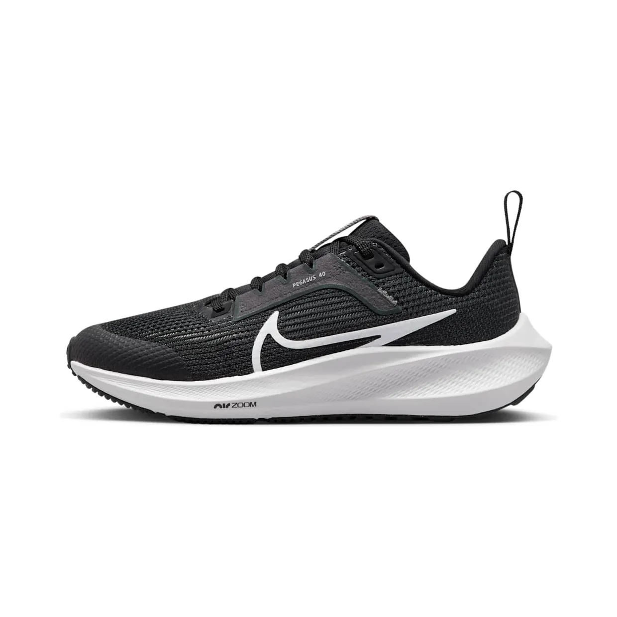 nike-air-pegasus DX2498-001