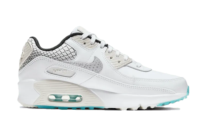 Nike Air Max 90 Netted Heel (DB4187-100)