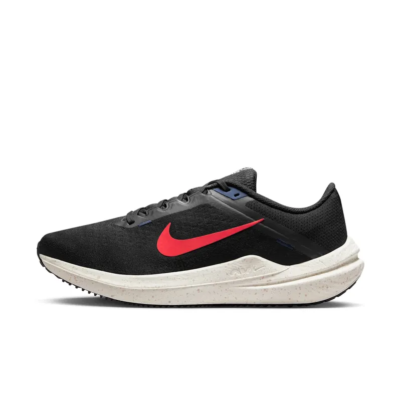 Nike Winflo 10 Black (DV4022-002)