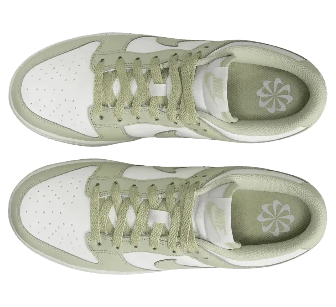nike-dunk HF5384-300