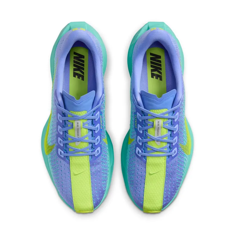 Nike Pegasus Plus Royal Pulse Green Frost Black Cyber (FQ7261-401)