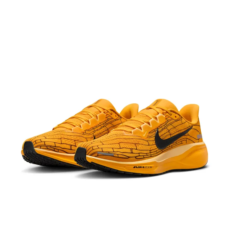 Nike Air Zoom Pegasus 41 Modern Mayfly (IH3257-700)