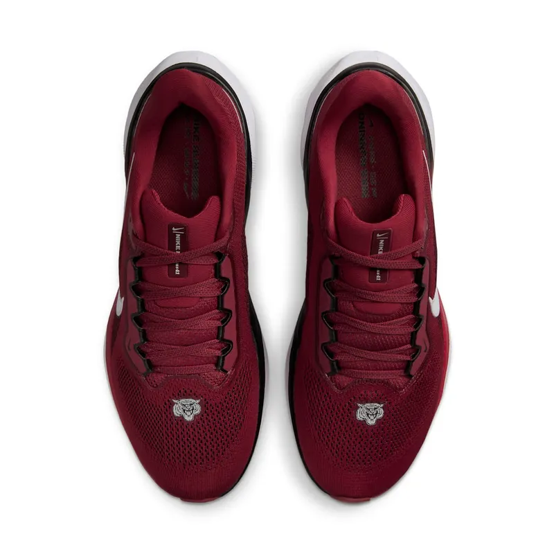 Nike Air Zoom Pegasus 41 Morehouse (FZ5130-600)