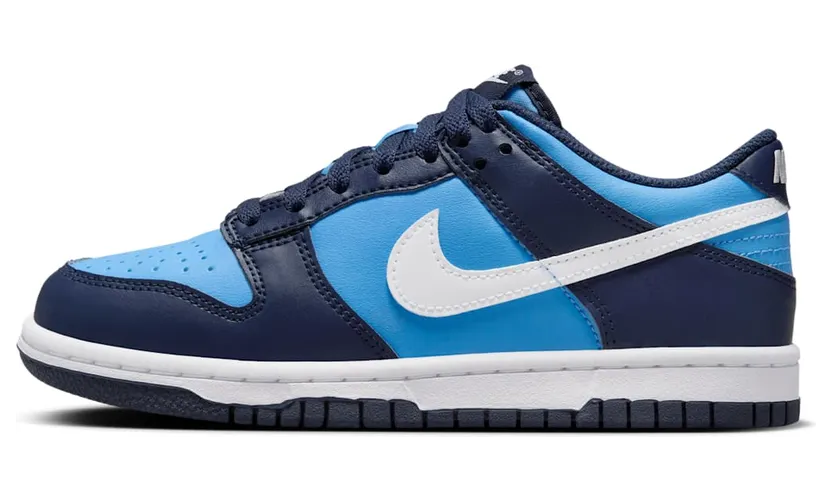 Nike Dunk Low HF0031-400
