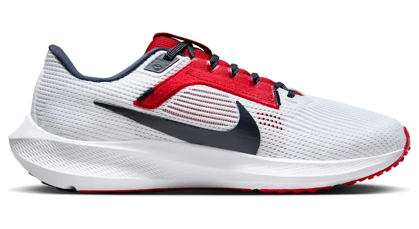 nike-air-pegasus DZ5945-100