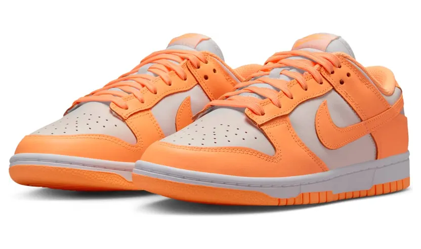nike-dunk DD1503-801