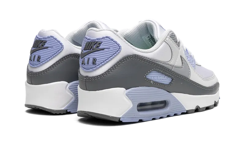 Nike AIR MAX 90 “Cobalt Bliss” (FB8570-100)