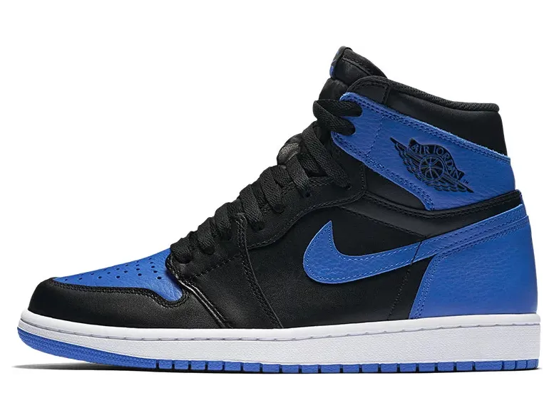 Air Jordan 1 (IQ5495-005)