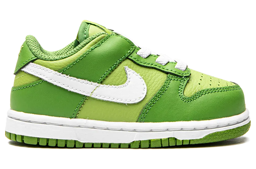 nike-dunk DH9761-301
