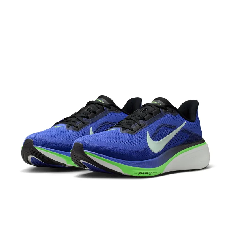 Nike Pegasus Sapphire/Lapis/Lime Blast/Summit White (IB1873-500)
